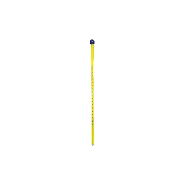Mercury Thermometer